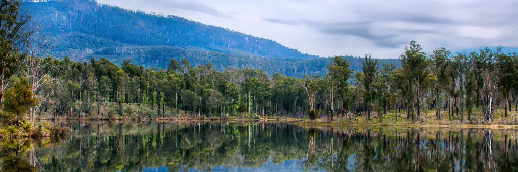 Tasmanien – Eine Insel für sich